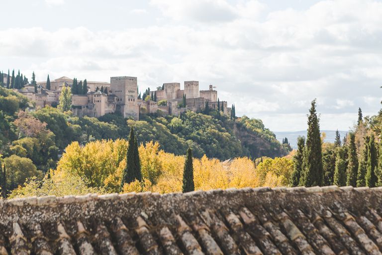 Make Pets Found (using AI) - Day 5